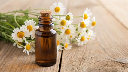 An amber bottle filled with chamomile oil sits on a rustic wooden table alongside vibrant chamomile flowers