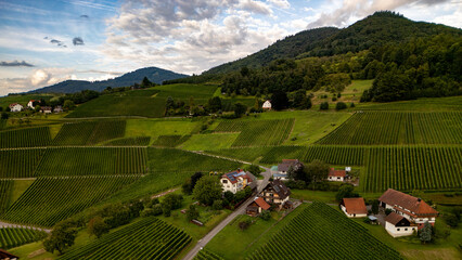 Panoramic view of the Black Forest