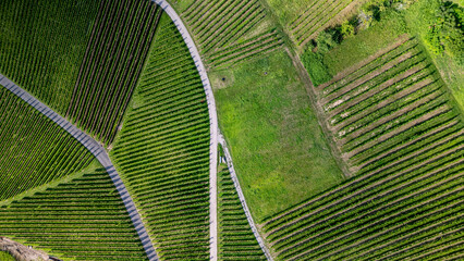 Areal view of wine yards in the Black Forest.