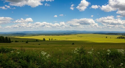 Expansive green landscape under a bright blue sky with fluffy white clouds, showcasing rolling hills and wildflowers