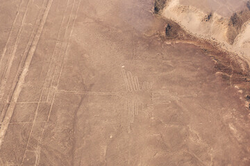 hummingbird Nazca lines Peru