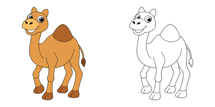 Humpy Dune the camel with two humps and a smiley face