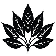 Florist element isolated green foliage on white background 