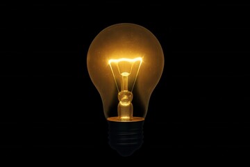 A Single Bulb Against a Black Canvas