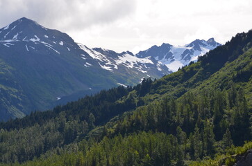 Exit Glacier Alaska 2025