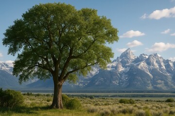 A solitary tree stands against a breathtaking backdrop of snow-capped mountains under a clear blue sky, symbolizing resilience and tranquility
