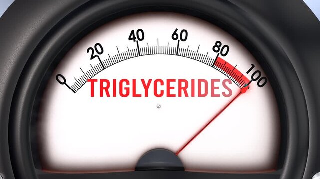 Triglycerides meter that is hitting a full scale, increasing and high levels of triglycerides, potential overload. Maximum triglycerides value, off the charts.