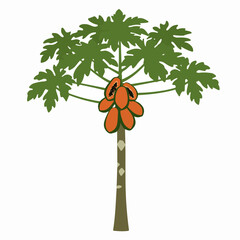 Stylized Illustration of a Papaya Tree with Ripe Fruits and Green Leaves, Ideal for Health, Food, and Tropical Themes