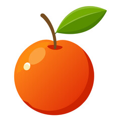 african-cherry fruit vector illustration