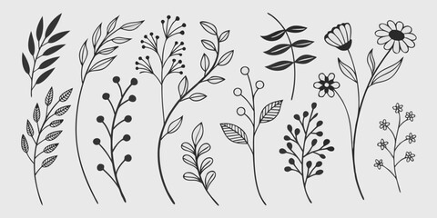 Vector floral pattern with black and white leaves, branches, and swirling ornaments, perfect for a seamless vintage nature design