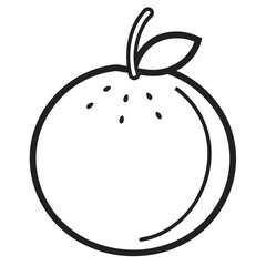 vector illustration of an umbrella fruit line art