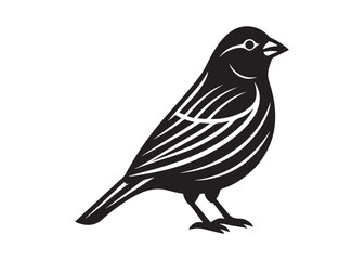 Black Canary Silhouette Vector of Small Singing Bird on White.