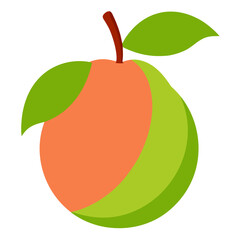 vector illustration of guava fruit
