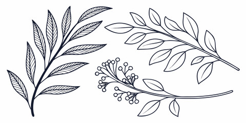 Seamless vintage vector illustration with black and white feathers and floral elements