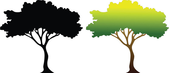 babul tree, Tree's collection, dead tree, alive tree. 