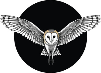 Majestic barn owl soaring, wings spread wide in flight, capturing the beauty of wildlife art