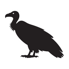 Vulture silhouette vector, Vulture clipart. Vector black silhouette. with white background.