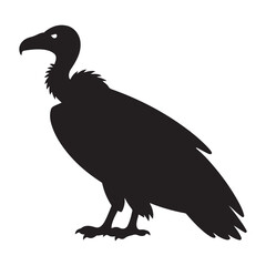 Vulture silhouette vector, Vulture clipart. Vector black silhouette. with white background.
