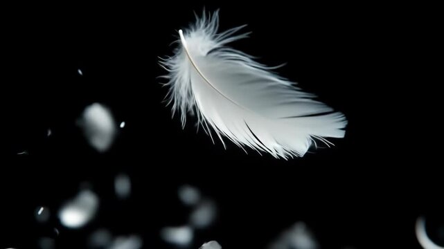 White feather floating in a dark space, soft and light.
