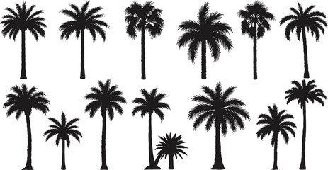 Palm tree silhouettes, tropical plant vector, beach paradise design, exotic nature illustration, summer vacation art, island landscape graphic, coconut palm drawing, botanical shapes