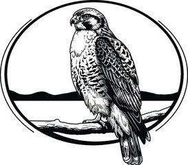 Majestic falcon perched on branch, observing nature's beauty, elegant design for conservation projects