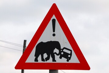 cartello "attenzione agli elefanti"