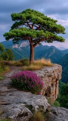 Obraz premium Majestic Tree on Cliff during Cinematic Sunrise