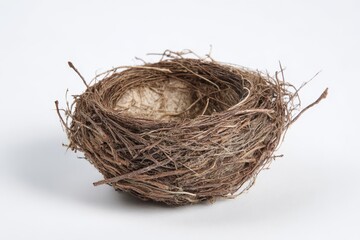 Obraz premium Bird nest constructed from twigs and fibers resting on a plain surface under soft lighting