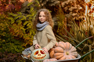 Beautiful little girl with pumpkins in autumn park.