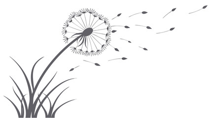 dandelion in a wind