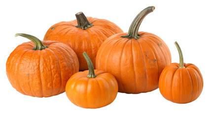 Group of five orange pumpkins of various sizes, isolated on transparent background