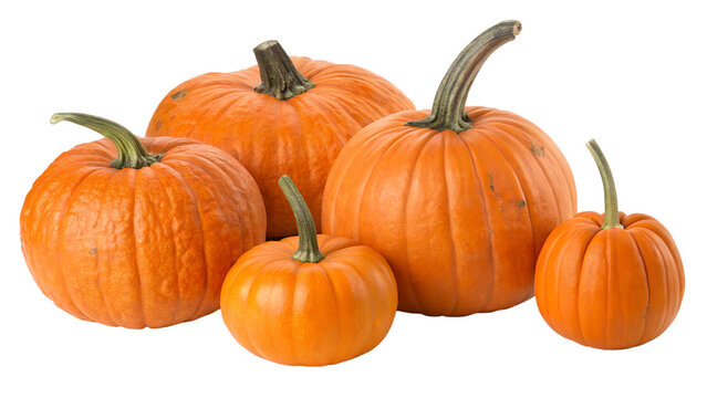 Group of five orange pumpkins of various sizes, isolated on transparent background