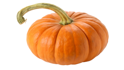 A single ripe orange pumpkin with a green stem, isolated on transparent background