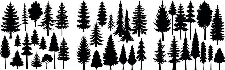 set of silhouettes of trees. pine trees isolated images. spruce tree illustration for winter christmas