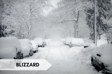 Blizzard Snowstorm Fury Concept