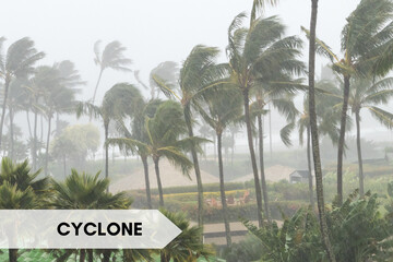 Natural Disasters cyclonic storm Hurricane Force Concept