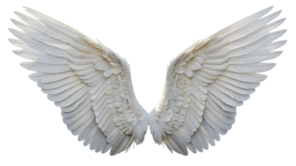 Pair of white angel wings isolated on transparent background