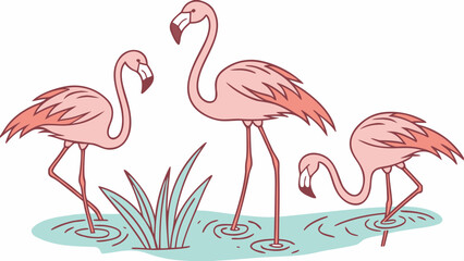 Obraz premium pink flamingos on white background