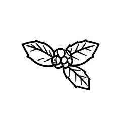 A monochrome drawing of three leaves and berries on a white background, classic festive sprig