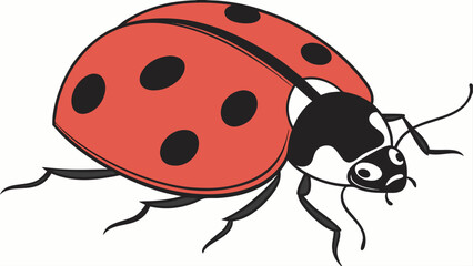Obraz premium ladybug on white background