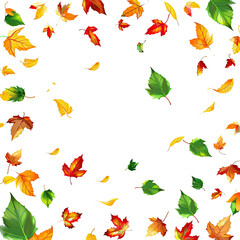 Autumn leaves falling, dark background, design element