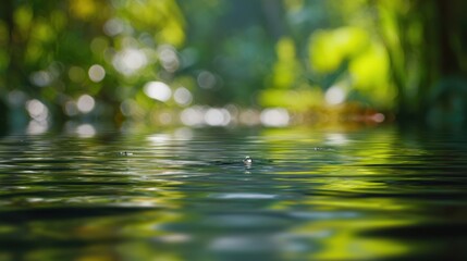 The tranquil water surface reflecting lush greenery in a serene, natural setting.