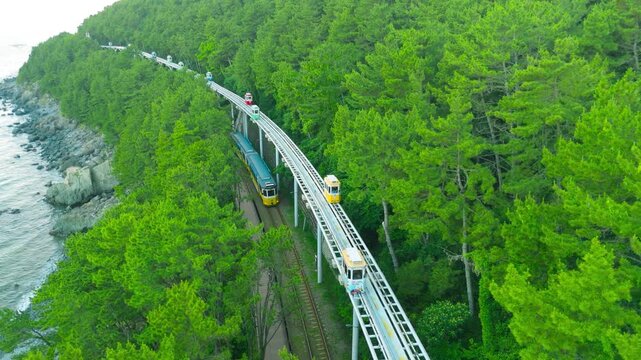 Aerial view of a coastal monorail track and colorful tourist trams moving through pine forests along the ocean at Haeundae Blueline Park, Busan.