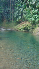 Un petit lac dans la foret tropicale