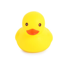 One cute rubber duck isolated on white