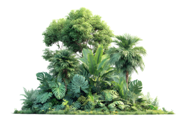 Lush vibrant tropical foliage and palm trees creating a dense verdant jungle paradise perfect for nature escapades and exotic design inspiration