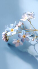 Obraz premium Delicate Forget-Me-Nots: A Pastel Blue Bloom