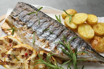 Tasty roasted mackerel with spices and potatoes on grey table, closeup. Homemade seafood dish
