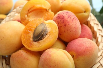 Many fresh apricots in wicker basket, closeup