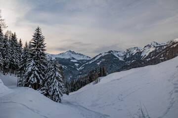 Fototapeta premium vista panoramica su di un ambiente naturale tra le montagne alpine innevate del Friuli Venezia Giulia nord-occidentale, nel tardo pomeriggio, in inverno, con cielo parzialmente nuvoloso